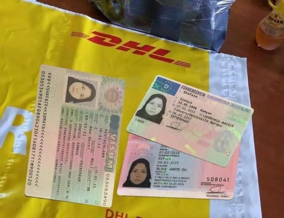 führerschein kaufen legal